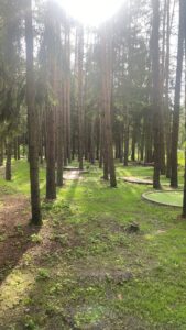 Karštą vasaros dieną saugo nuo nuo saulės